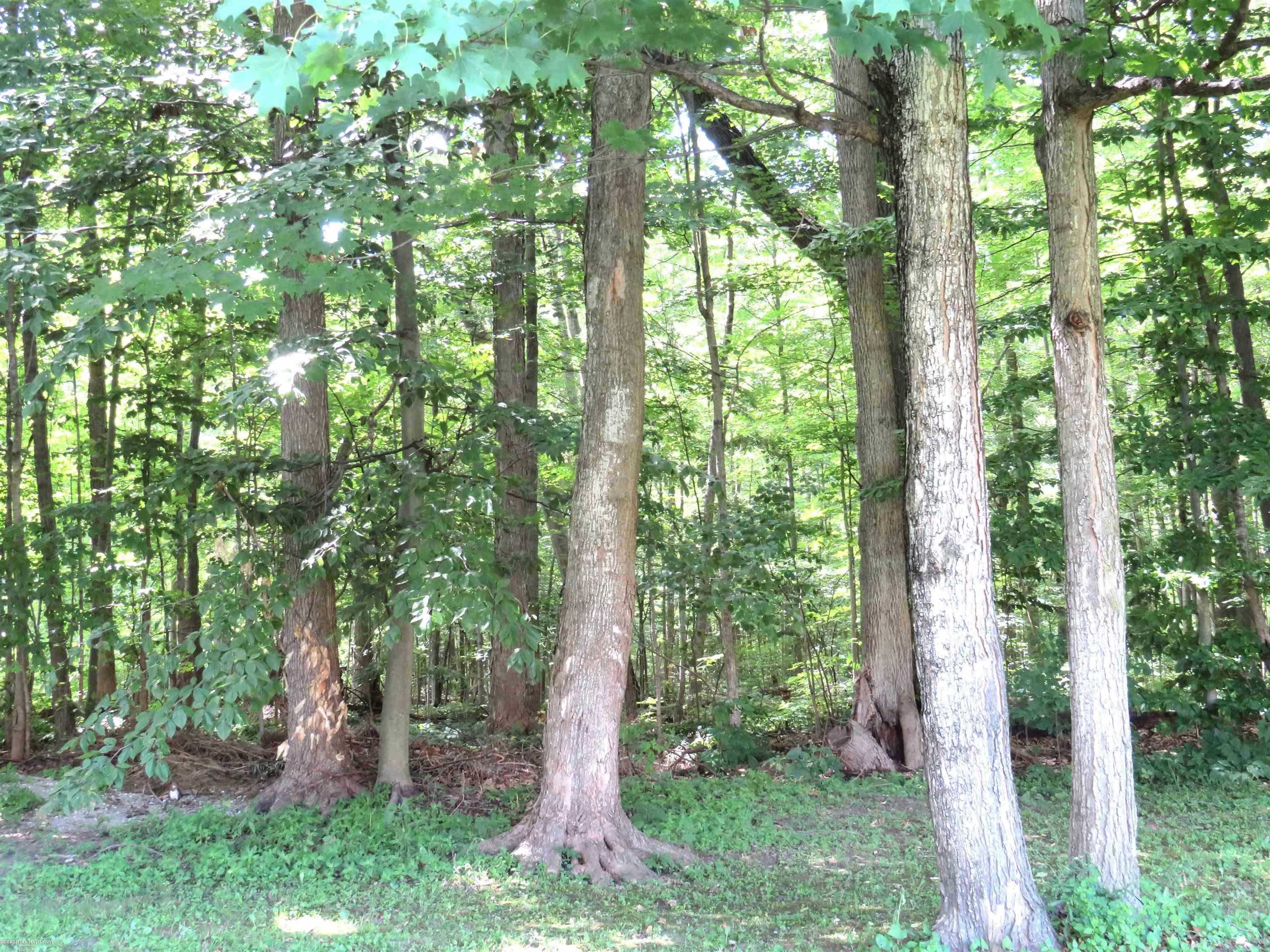 Washington Twp, Michigan 48094, United States, 5 Bedrooms Bedrooms, ,4 BathroomsBathrooms,Residential,Active,176628