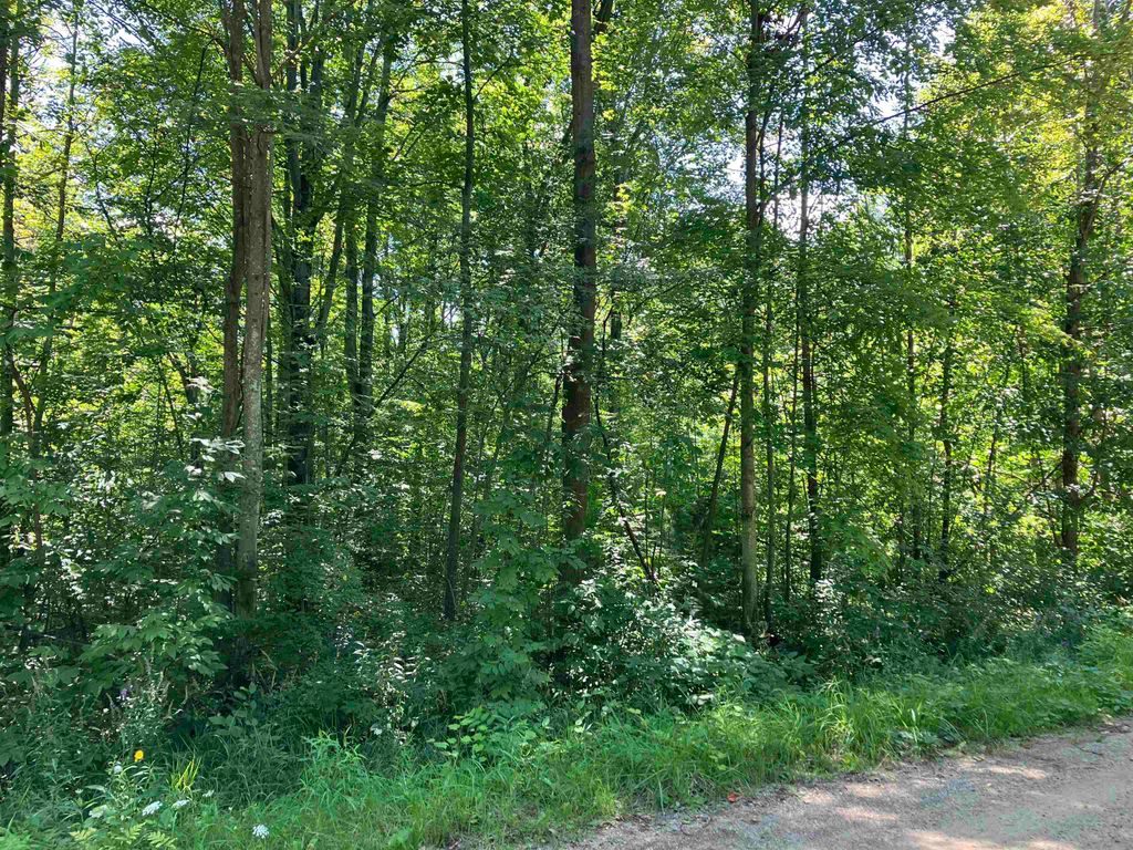 Photo of 3642 Beech Street, Beaverton, MI 48612 (MLS # 50151804)