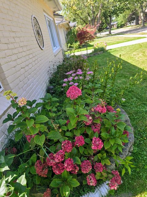 A home in Saint Clair Shores