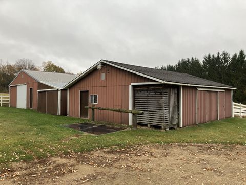 A home in Edmore