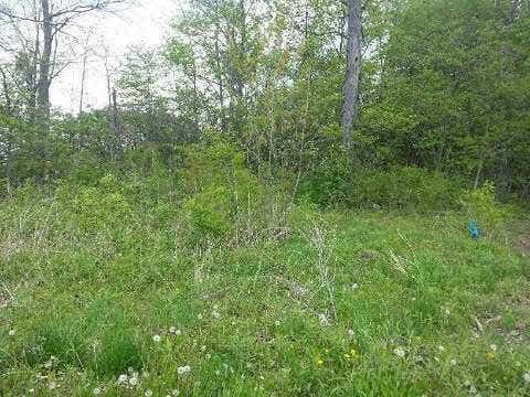 Photo for Lot 54 CALHOUN Drive