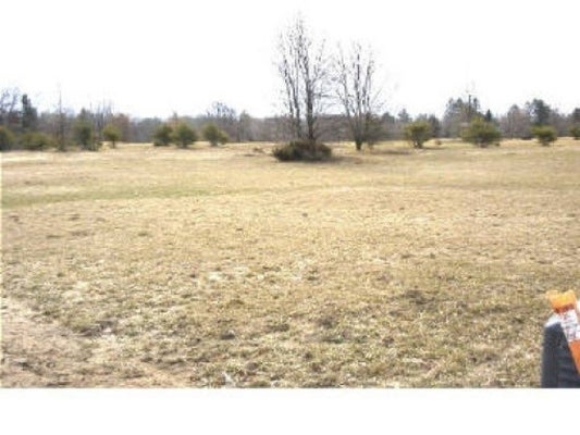 TAMARACK RDG, HARRISON, MI 48625 - Image f7d199131b2e99daab38b9f128e7b7fa/3749417572