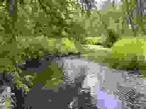 Photo of N/A Beechwood Road, Rose City, MI 48654 (MLS # 80070949)