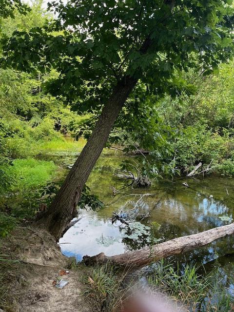 12808 Lincoln Lake Avenue