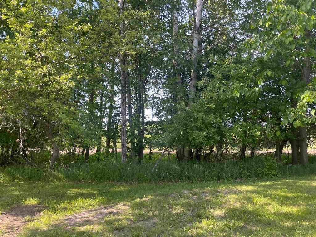 Photo of 1962 Linksview Way Street, Gladwin, MI 48624 (MLS # 50202760)
