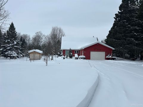 Photo of 5213 Pine Street, Chatham, MI 49816 (MLS # 50196372)