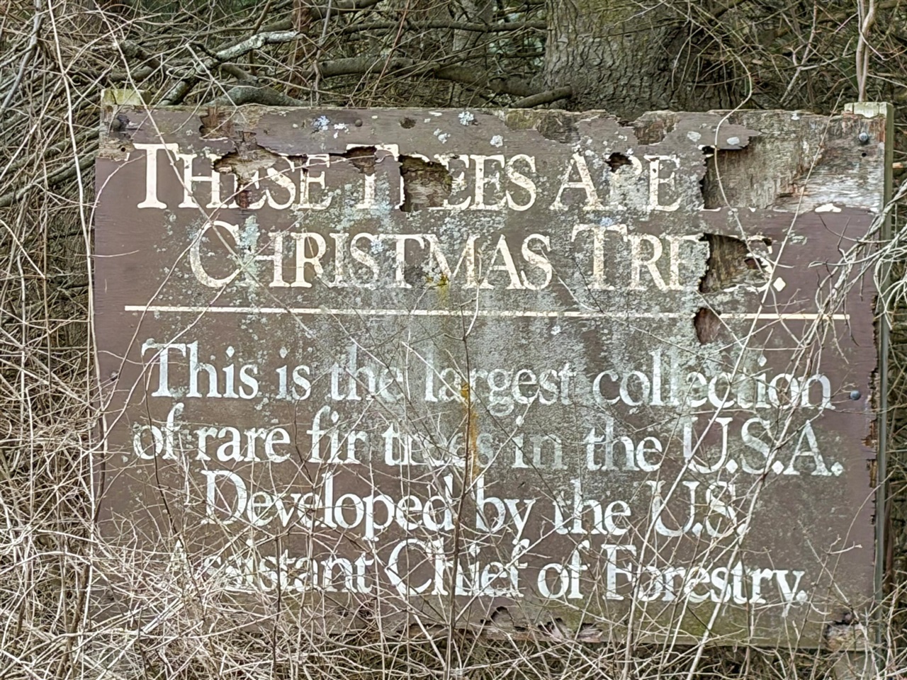 4973 S Lakeshore Drive