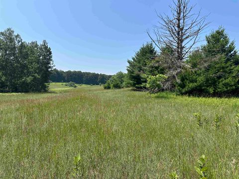 Parcel 3 Bright Road Lot: 3 Maple City MI 49664