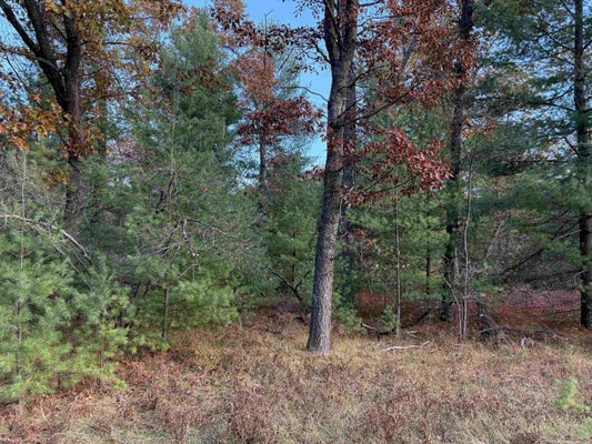 WILDERNESS DR, ALGER, MI 48610 - Image 0668be60e615e318d5deee5fd08e6155/1373455090