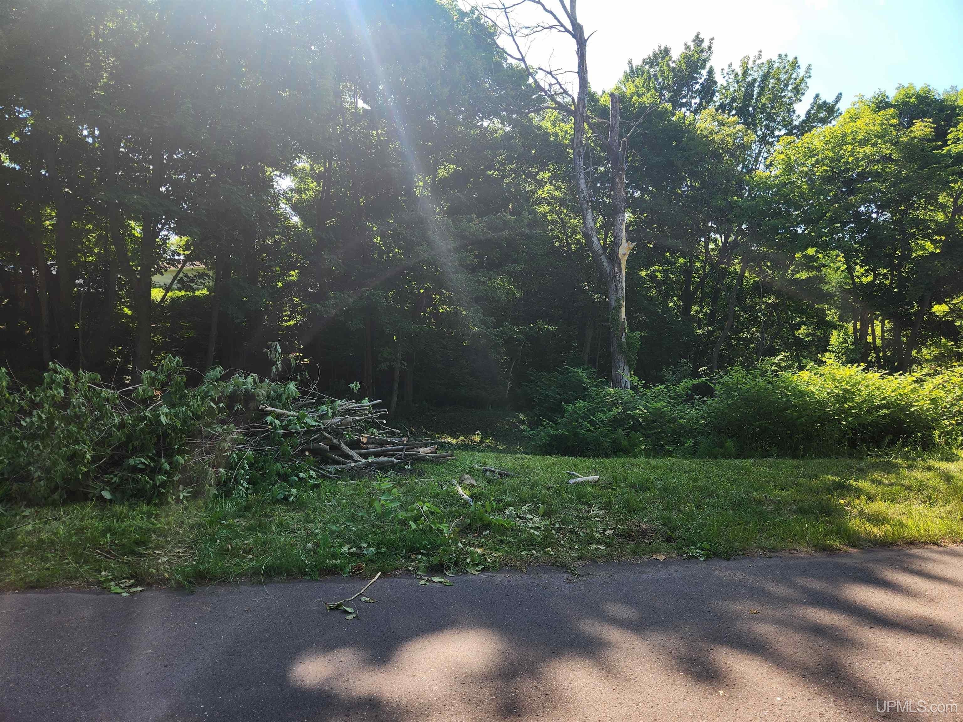 TBD 2 and 3 L Avenue