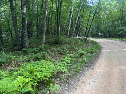 CHERRY RD, FARWELL, MI 48622 - Image 074c8b24c42e95cbf85e261b34e1a2b6/404086463