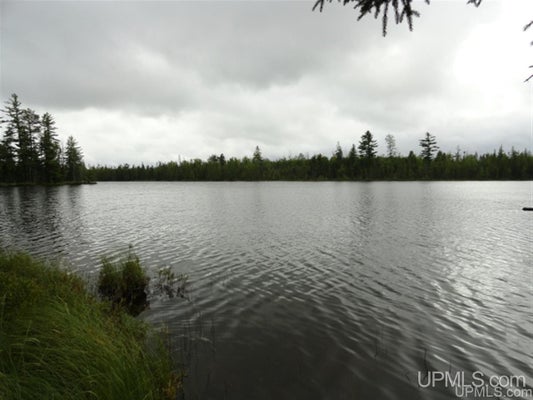ADDRESS PRIVATE, ISHPEMING, MI 49849 - Image 076547ce97fa3f90fa8f12943a09ecb6/3411400178