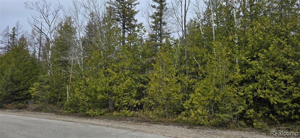 VL Lot 332 Balsam Drive