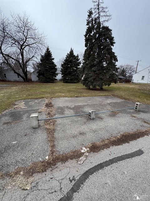 0 4th Street Newport MI 48166