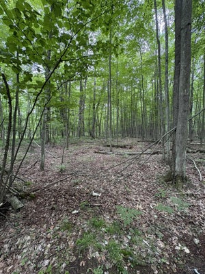 3680 WIEMAN RD, BEAVERTON, MI 48612 - Image 091961b6fe7c87f843af8a0b4e127df3/3285828777