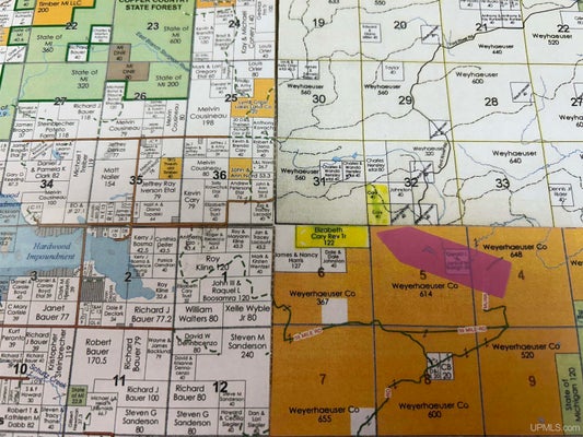 TBD OFF EAST FORDVILLE ROAD, HARDWOOD, MI 49807 - Image 092b1d44cd0b9aba228a926304849fda/1334450