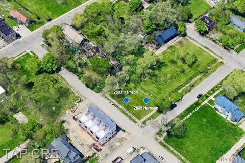 Photo of 2809 Harrison Street, Detroit, MI 48216 (MLS # 60981485)