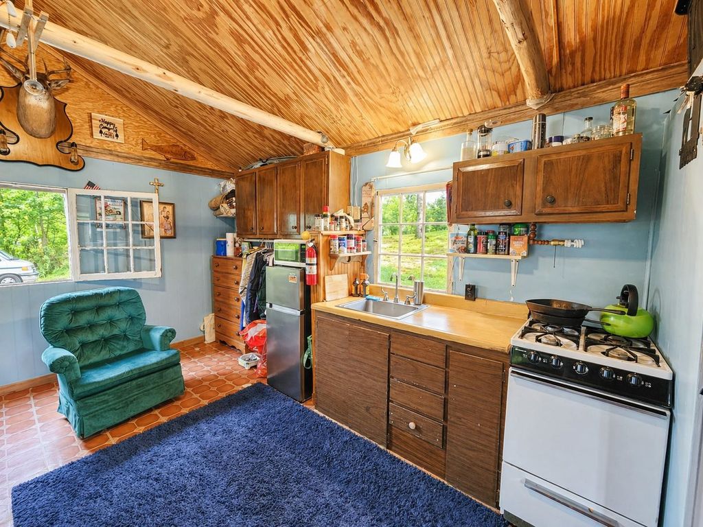 Photo of 303 N Beverly Drive, Harrison, MI 48625 (MLS # 50206809)
