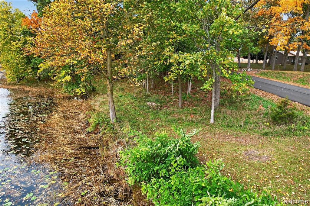 11005 Patch Road