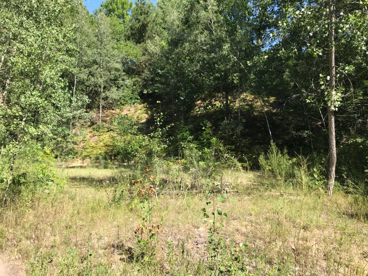 Lots 10&11 S Riverview Drive