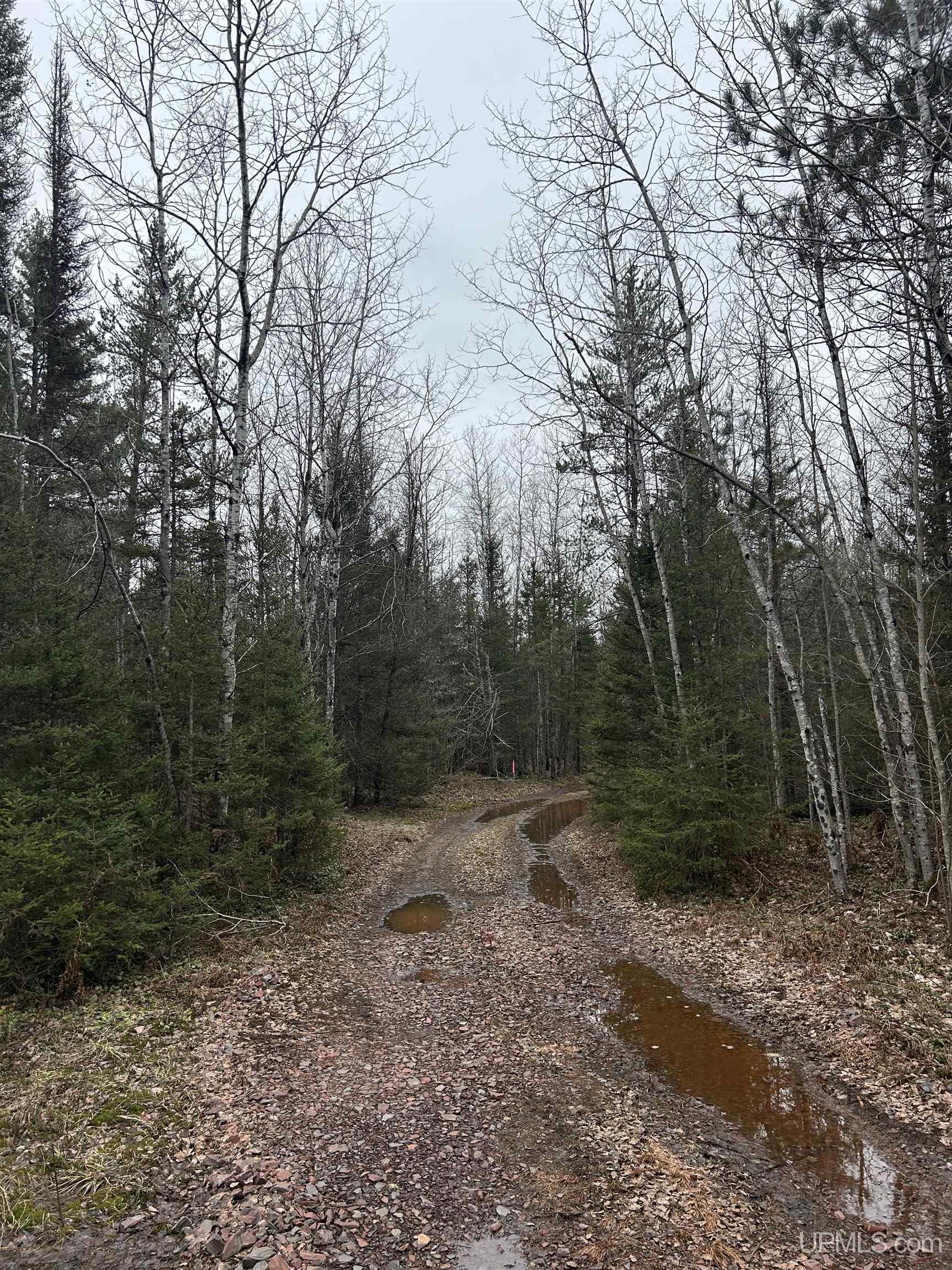 Parcel 6 Off Johnson Lake Road