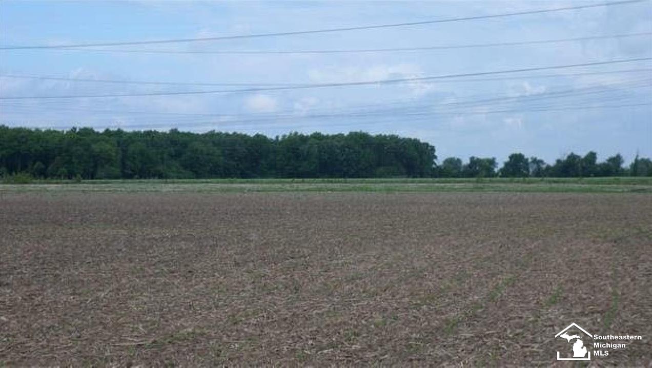 Williams Road