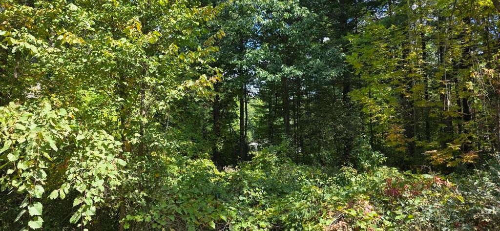 Photo of 47 Shearer Road #Lot 48 Blackberry, Gladwin, MI 48624 (MLS # 50188232)