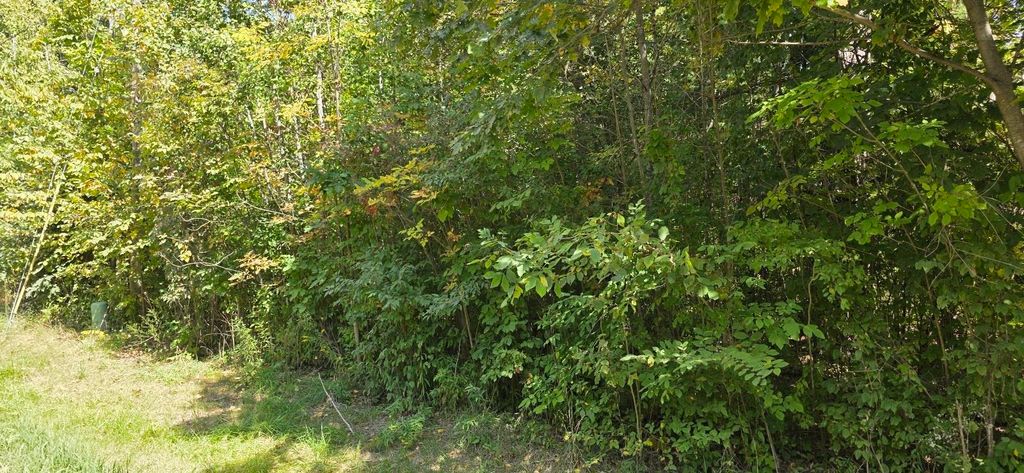 Photo of 47 Shearer Road #Lot 48 Blackberry, Gladwin, MI 48624 (MLS # 50188232)