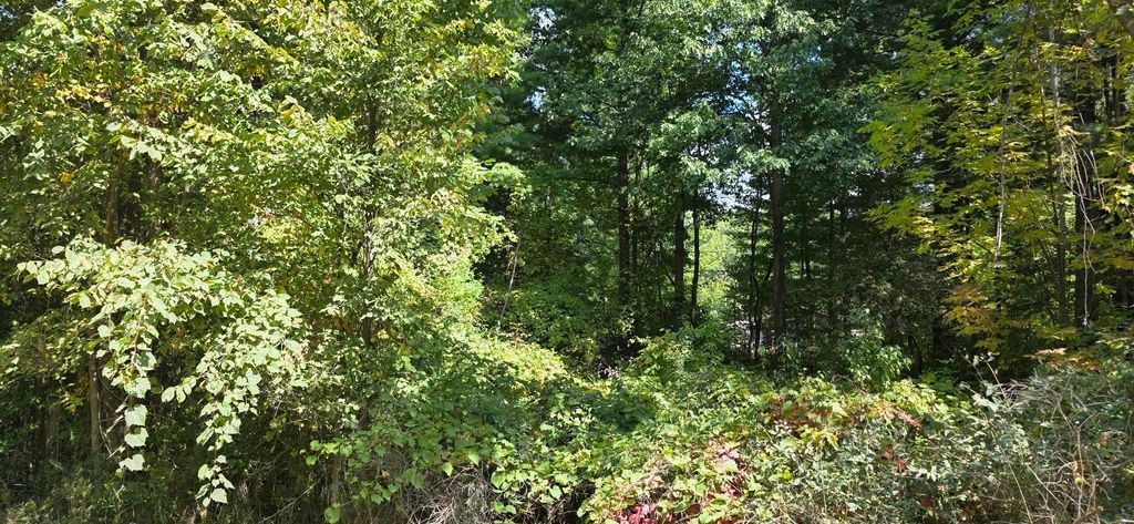 Photo of 47 Shearer Road #Lot 48 Blackberry, Gladwin, MI 48624 (MLS # 50188232)