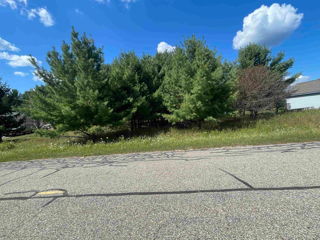 Photo of 194 LEXINGTON Avenue, Gladwin, MI 48624 (MLS # 50187342)
