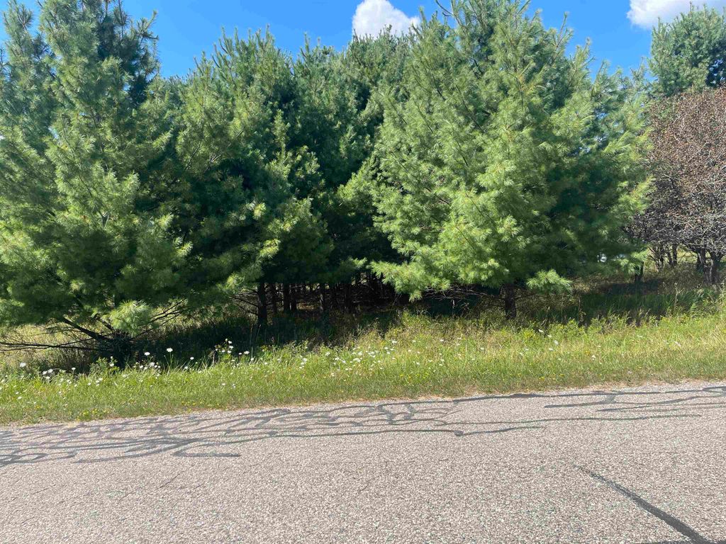 Photo of 194 LEXINGTON Avenue, Gladwin, MI 48624 (MLS # 50187342)