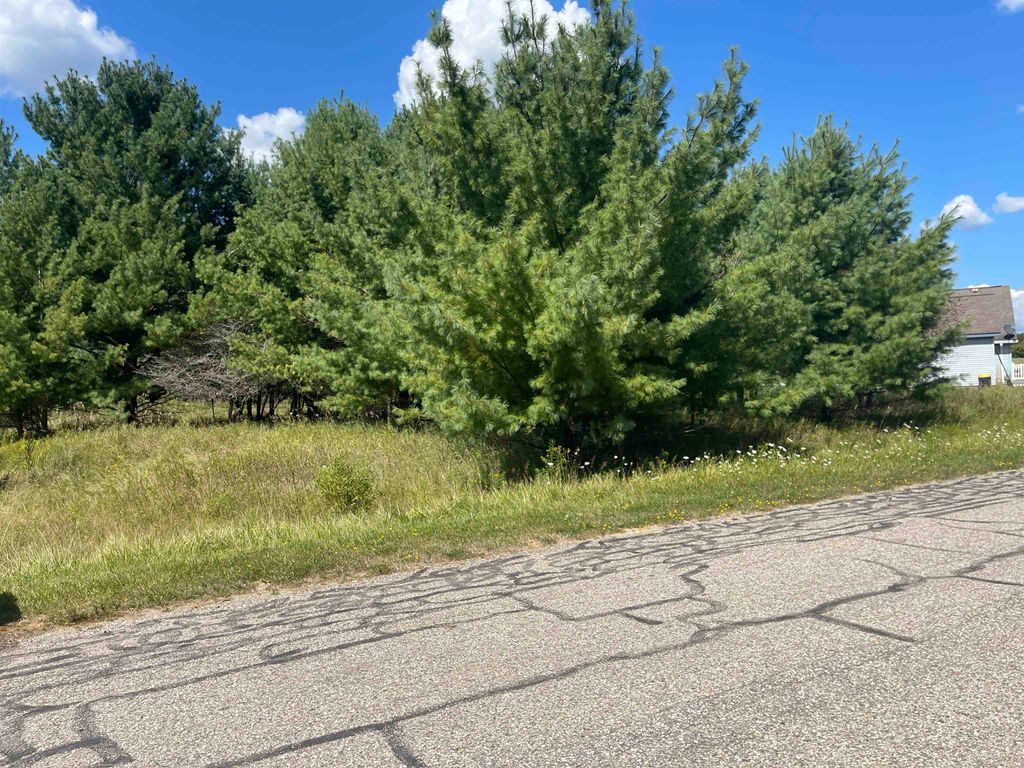 Photo of 194 LEXINGTON Avenue, Gladwin, MI 48624 (MLS # 50187342)
