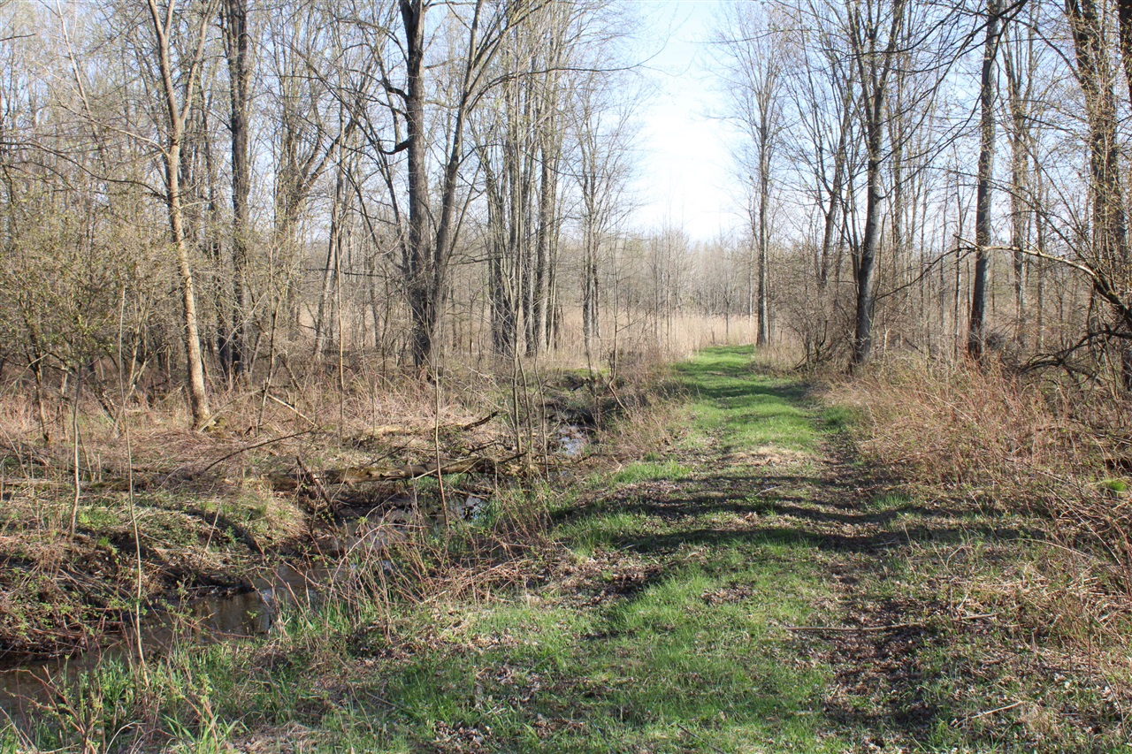 Photo 48