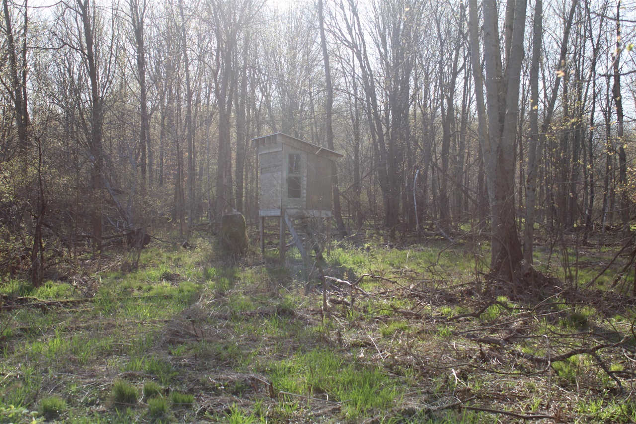 Photo 46