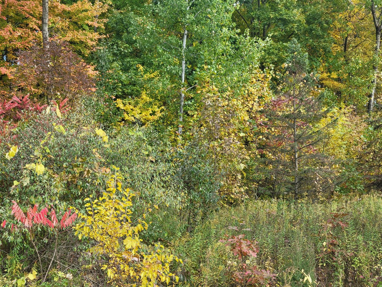 74066 Ridgeway Drive