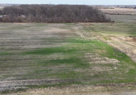 0 Briar Hill Road Carleton MI 48117