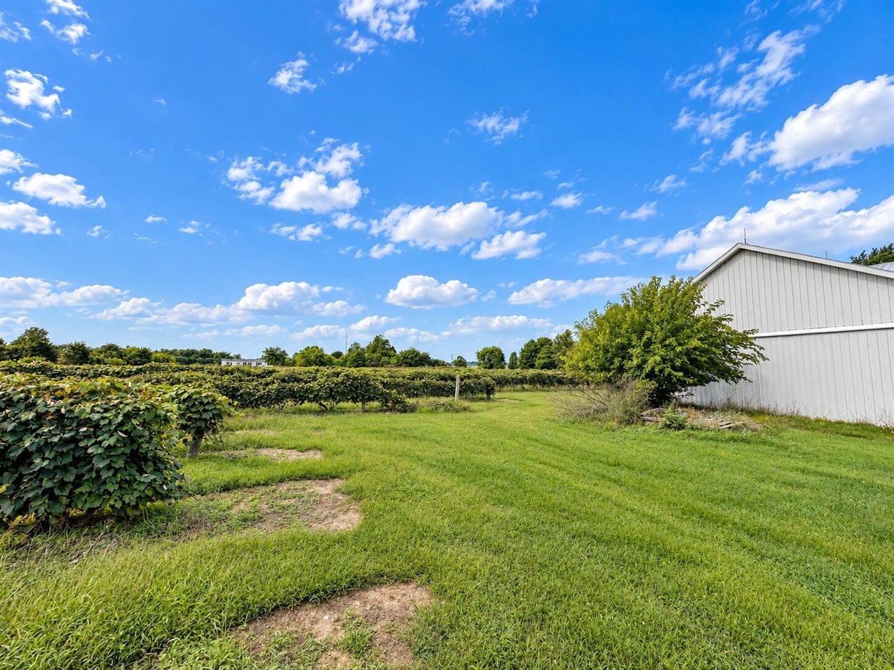 Properties Available 3 - 3 Co Rd 374 and Co Rd 671