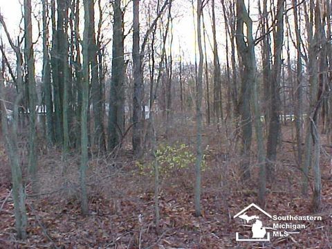 Lot 18/19 Onway Drive Ottawa Lake MI 49267