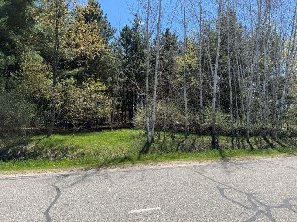 Photo of 96 Salisbury Drive, Gladwin, MI 48624 (MLS # 50207120)
