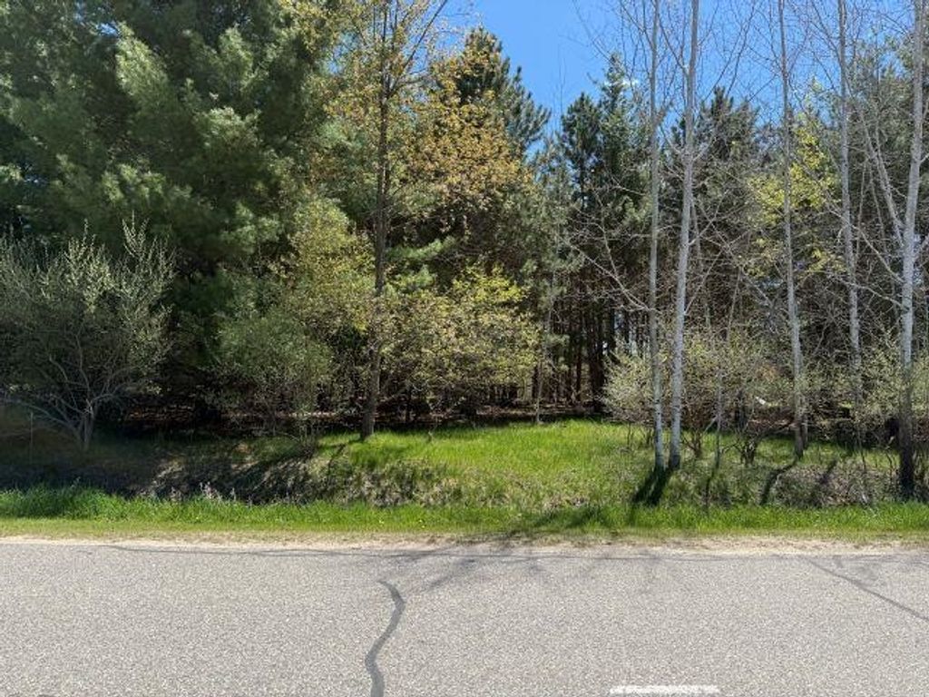 Photo of 96 Salisbury Drive, Gladwin, MI 48624 (MLS # 50207120)