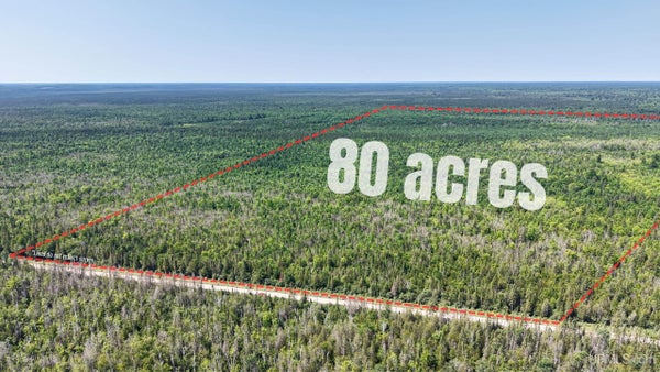 MC MILLAN AVE, MC MILLAN, MI 49853 - Image 1c2277c0b254d1e78059cd96f5a19a94/100859955