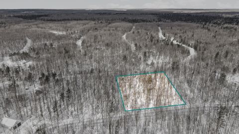 00 Northwood Drive Lot: 301 Elmira MI 49730