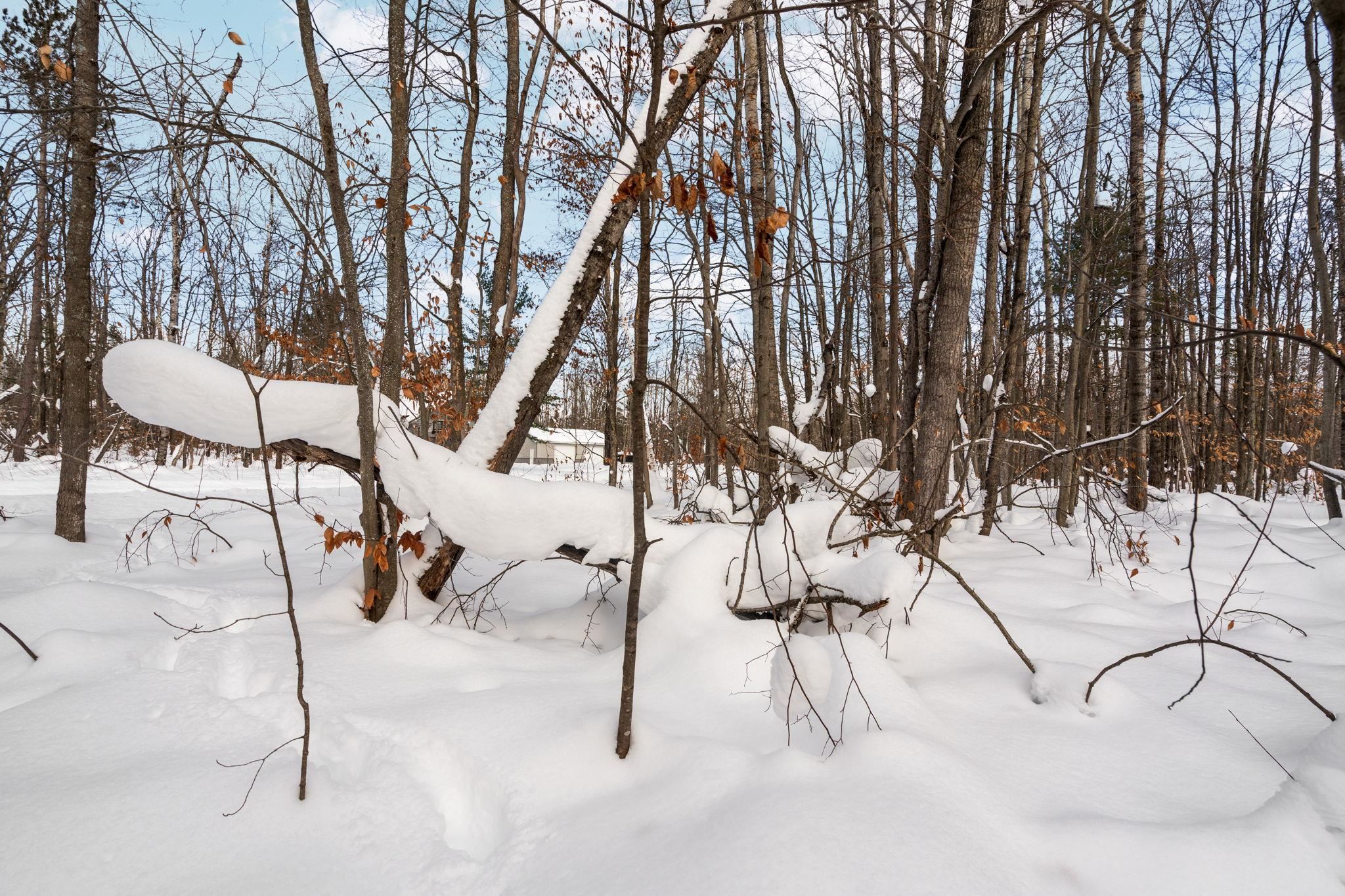 00 Northwood Drive Lot: 301