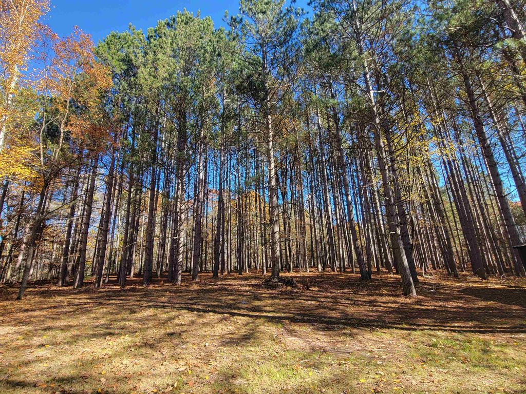 Photo of 3385 Jones Road, Beaverton, MI 48612 (MLS # 50193150)