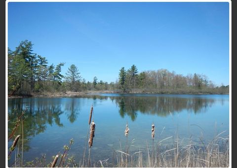 Photo of 10345 Morgan Mills Avenue, Greenville, MI 48838 (MLS # 70516966)