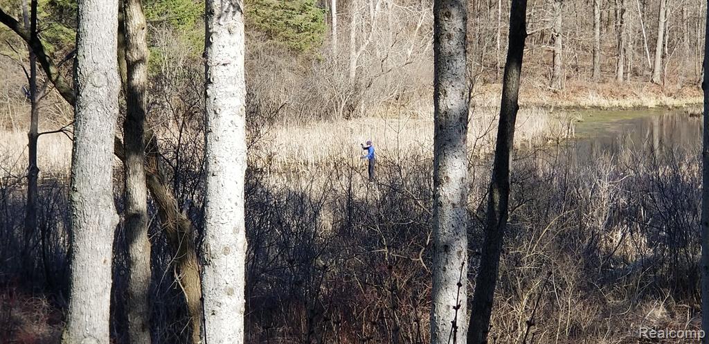 5163 PINE HILL Circle