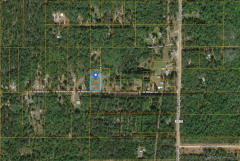 Photo of 5250 W Millikin Lane, Roscommon, MI 48653 (MLS # 50208180)