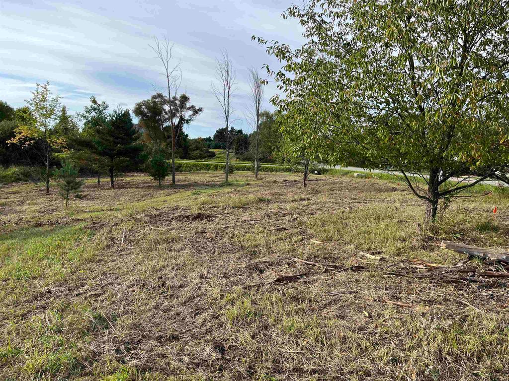 Photo of 8084 HAMILTON Way #1.72 Acres Hamilton, Gladwin, MI 48624 (MLS # 50172723)