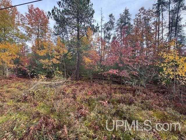 1.38A E Johnson Lake Road
