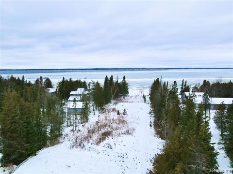 Photo of 1197 Needle Point Drive, Cheboygan, MI 49721 (MLS # 60959763)